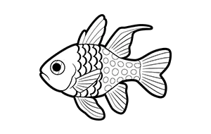 Pajama-Cardinalfish (Sphaeramia nematoptera) coloring page for the Sketchtank Virtual Coloring Aquarium