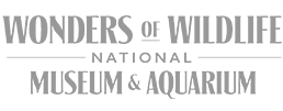 Wonders of Wildlife National Museum & Aquarium Exhibit developer