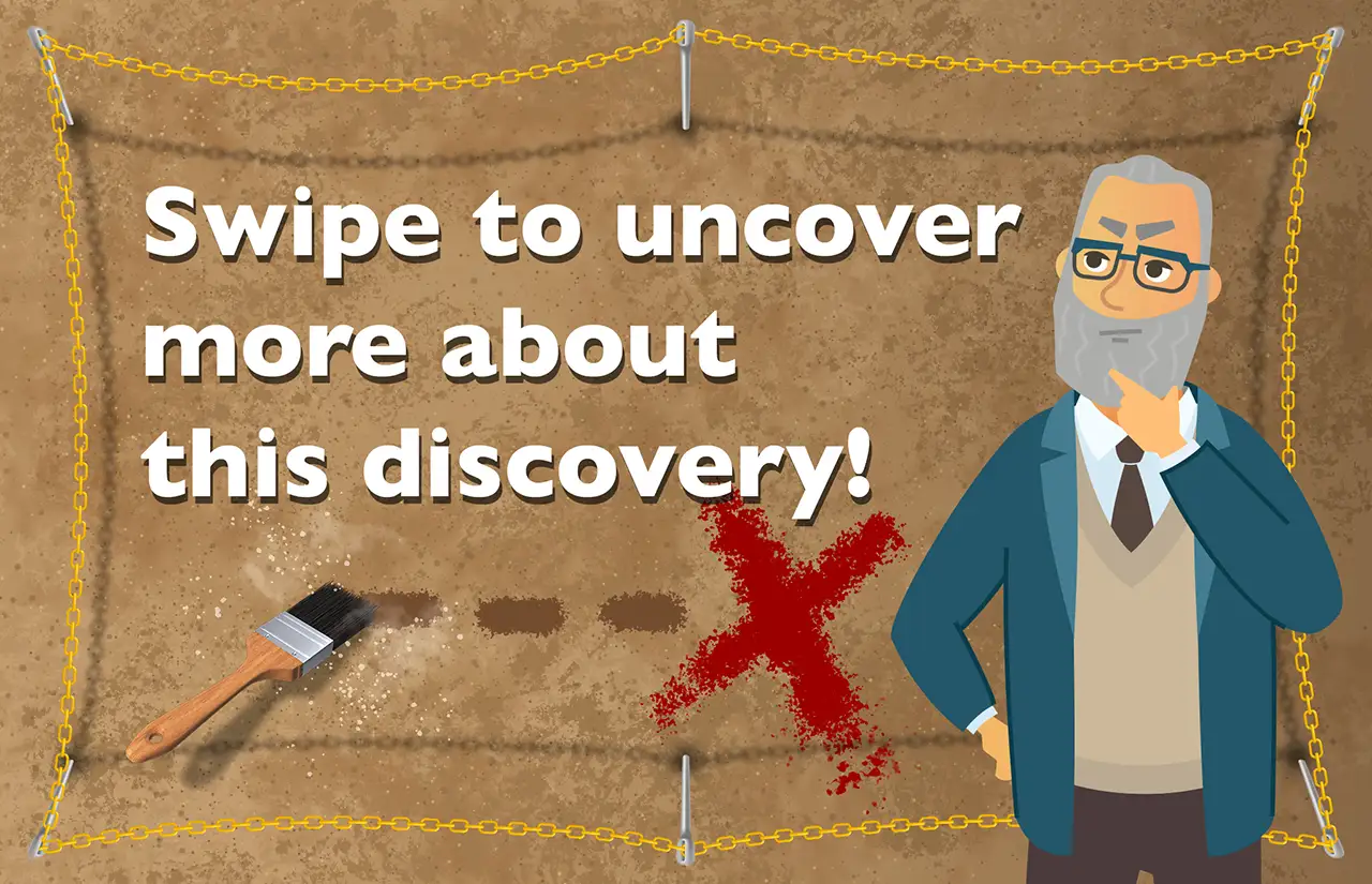 A custom museum exhibit kiosk attract screen design to draw in more users.