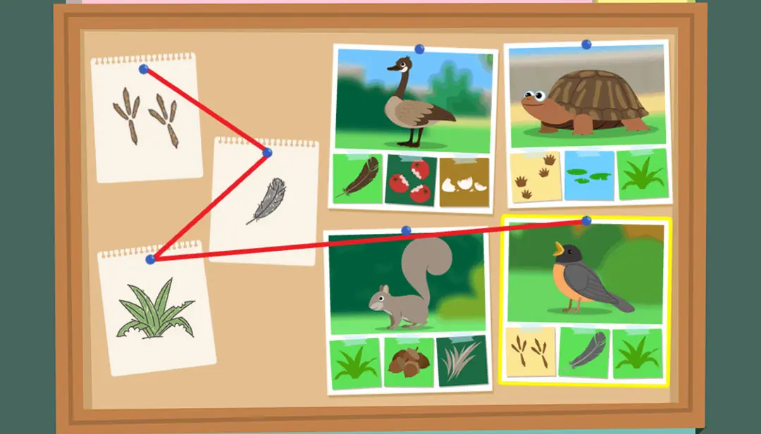 game that teaches kids to identify animals