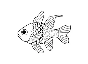 Pajama Cardinalfish Complex