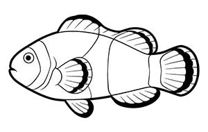 Clownfish (Amphiprion ocellaris) coloring page for the Sketchtank Virtual Coloring Aquarium