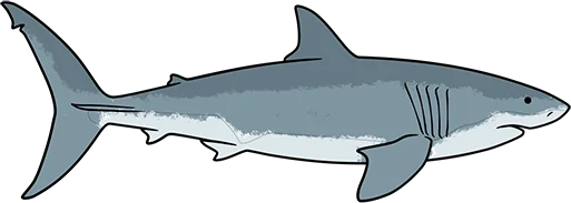 Shark for virtual coloring aquarium projector exhibit