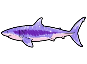 Great White Shark template for the SketchTank Virtual Coloring Aquarium