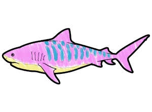Tiger Shark template for the SketchTank Virtual Coloring Aquarium